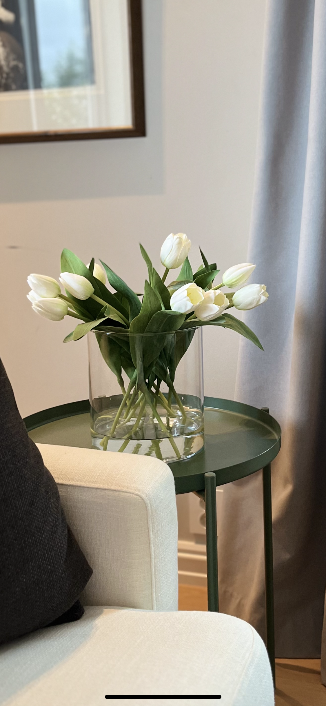 Hvite tulipaner - 6 stk