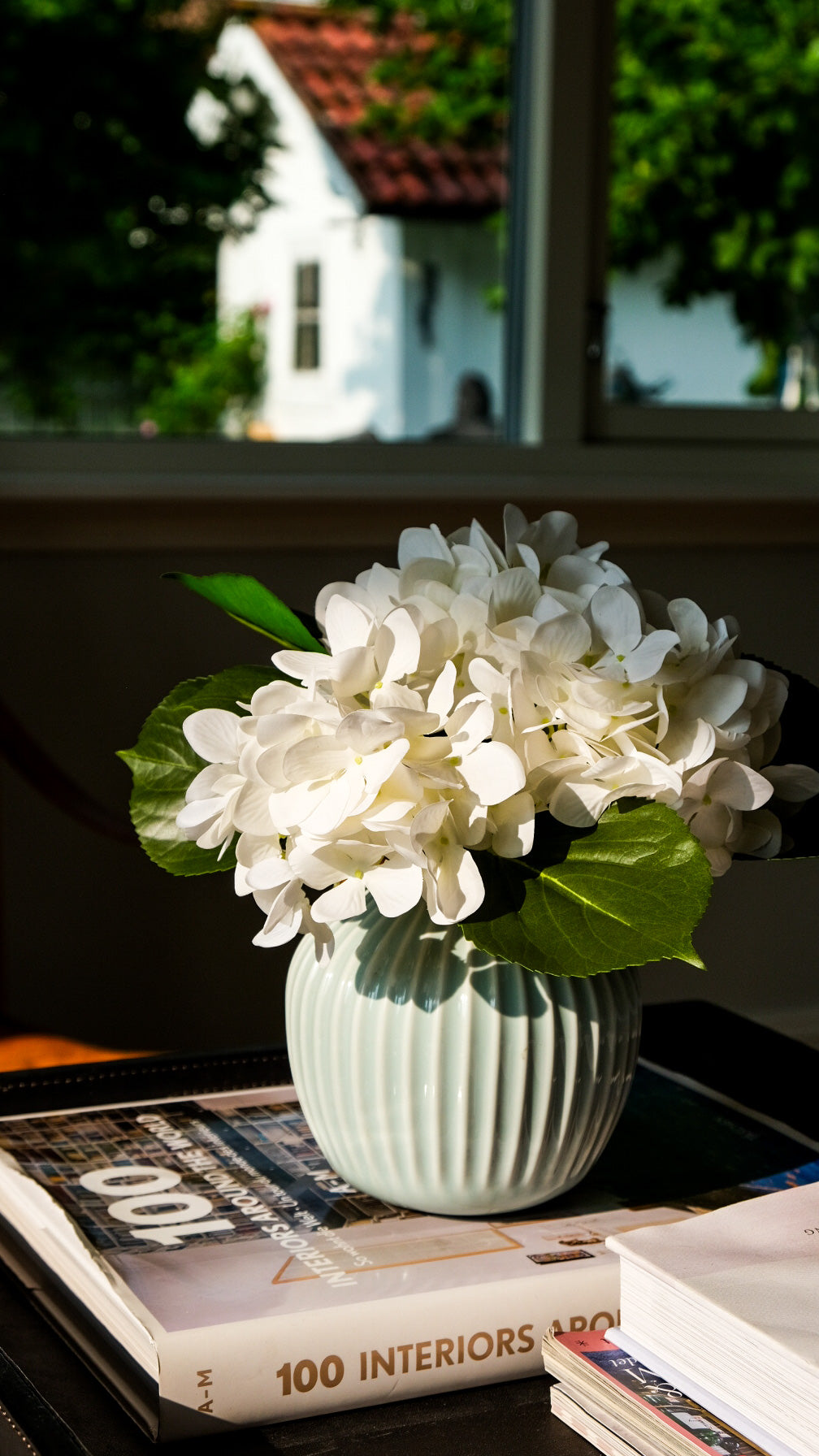 Liten hvit hortensia